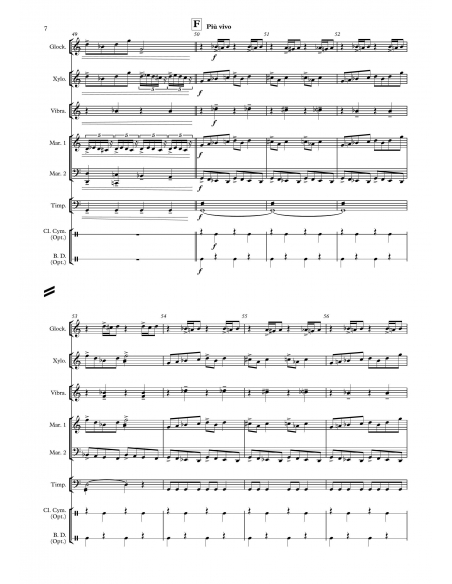 In the hall of the mountain king - Edvard Grieg, arr. Sylvain Andrey - HITS in PERCUSSION