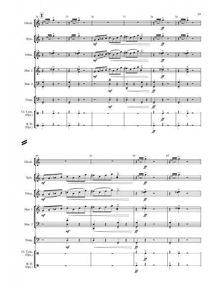 In the hall of the mountain king - Edvard Grieg, arr. Sylvain Andrey - HITS in PERCUSSION