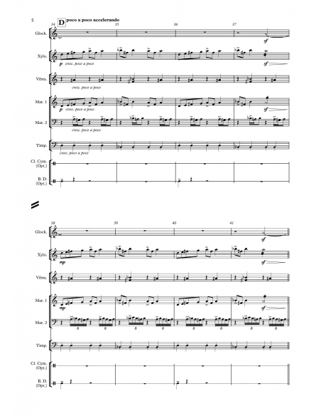 In the hall of the mountain king - Edvard Grieg, arr. Sylvain Andrey - HITS in PERCUSSION