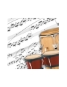 World percussions